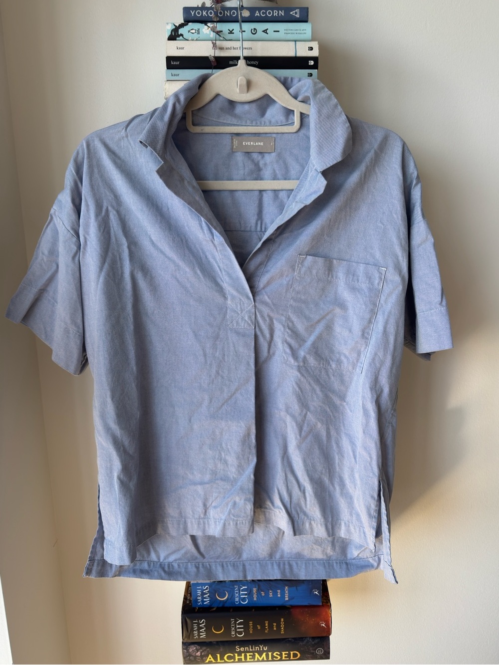 Everlane Short Sleeve Collared Shirt